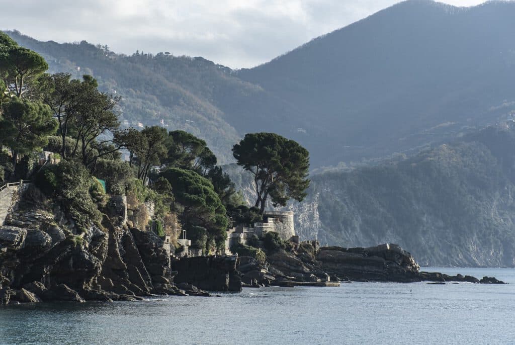 Alaïa Bay im Wallis: RevolutionäresSurfen Sionund die Zukunft des Wellenreitens in den Alpen