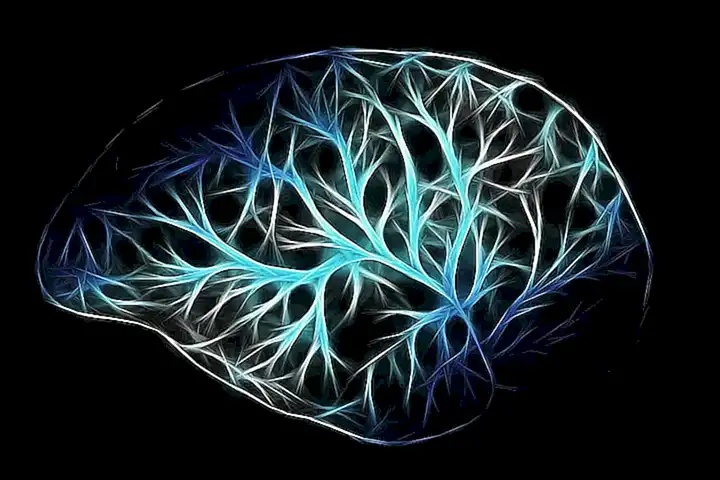 Anatomie und Physiologie des Anus
