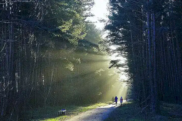 Auswirkungen auf die Familie