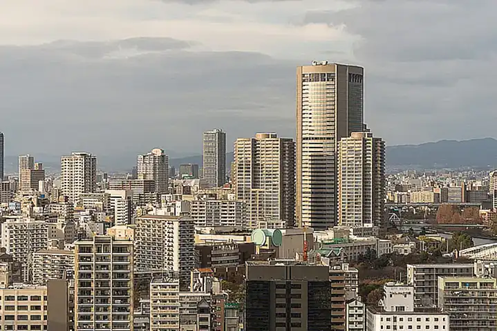 Bedrohungen für den japanischen Spinnenkrebs