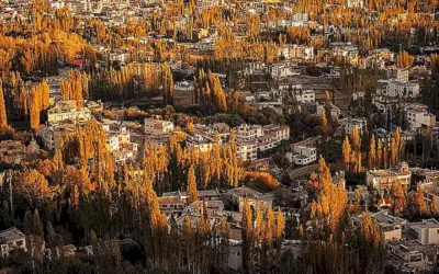 Das prächtige Anwesen Domaine Le Canadel/Domaine du Canadel: Ein Einblick in die Welt der Clooneys in der Provence