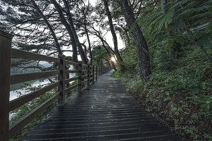 Der lange Weg der Heilung