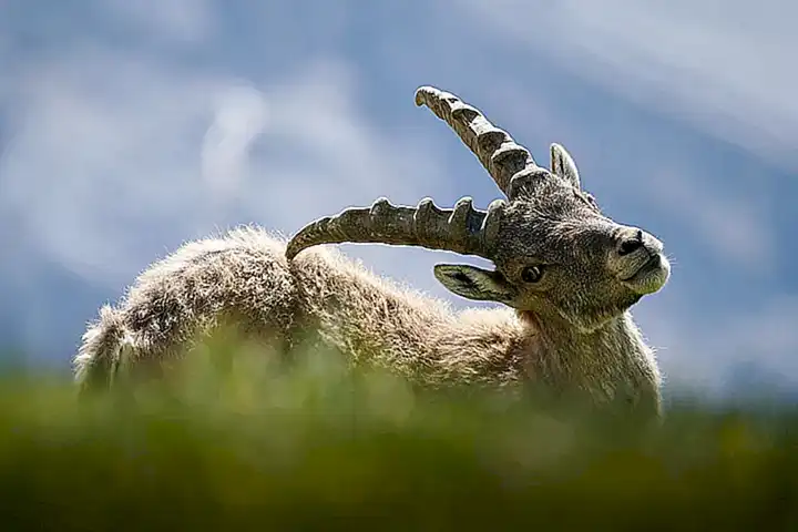 Der Respekt vor der Natur