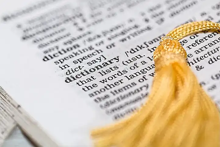 Der Text und seine Bedeutung