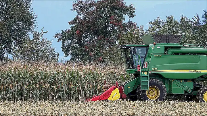 Der tragische Fall vonRoger John Husseyund die Schattenseiten des Paradieses: Eine detaillierte Analyse des Paragliding-Unfalls in Phuket