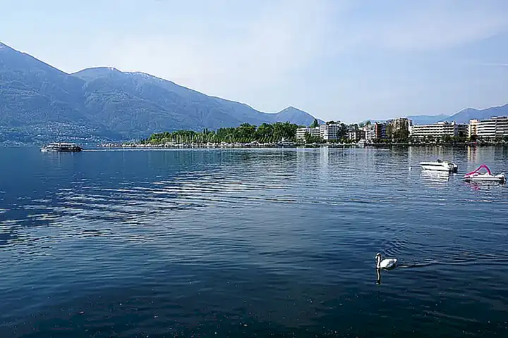 Die Bedeutung des Locarno Film Festivals