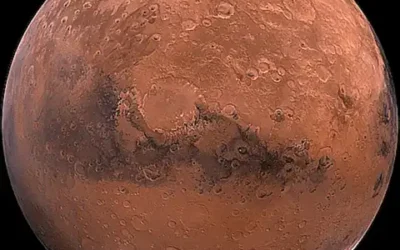 Die erschütternde Wahrheit über Planet Randy Fake: Ein tiefgründiger Blick hinter die Kulissen der Online-Dating-Welt