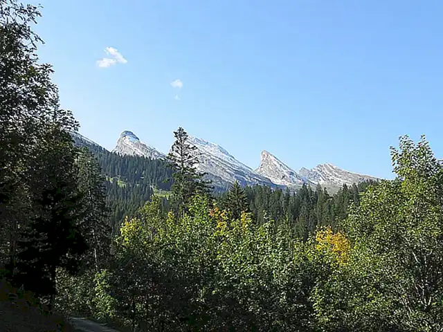 Die Folgen für den Tourismus in Wildhaus