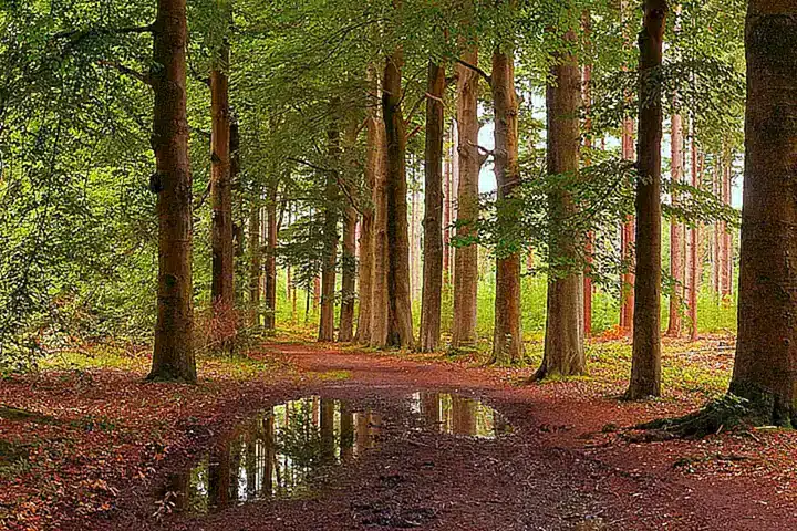 Die geografische Lage und Infrastruktur