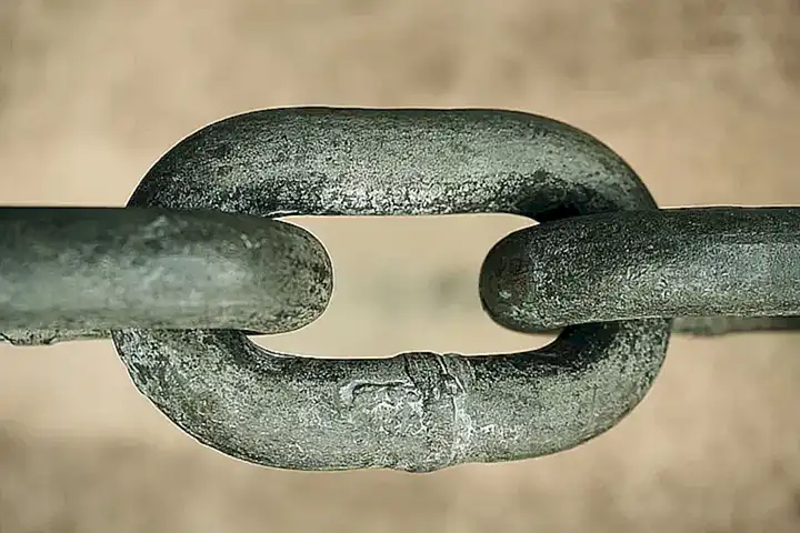 Die Geschichte des strengen Dutts