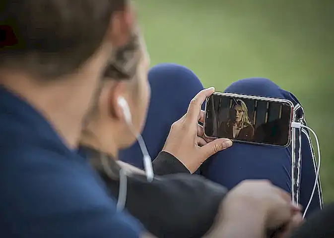 Die Irreführung durch virale Videos