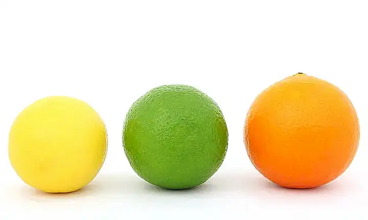 Die natürliche Variabilität der Penisgröße