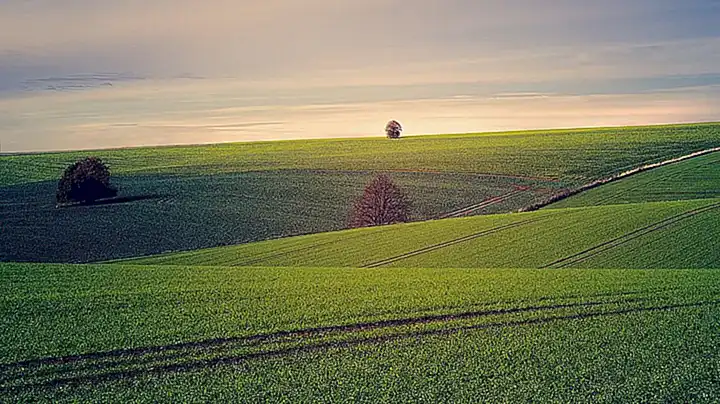 Die Perspektive der Landwirte