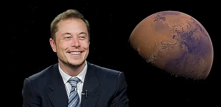 Die Rolle von Elon Musk