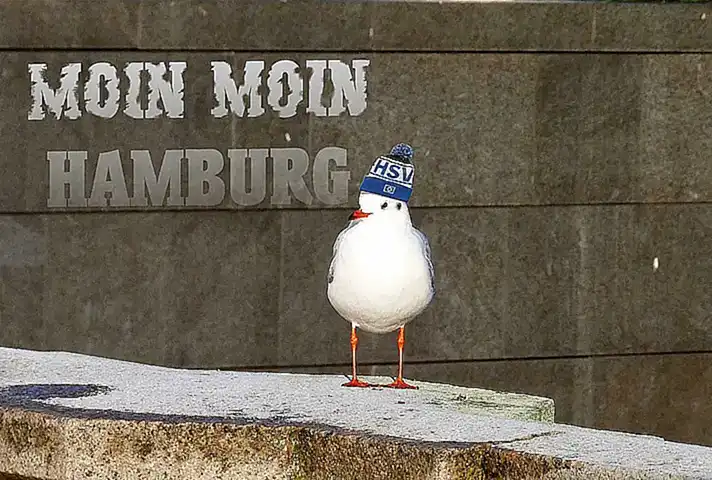 Die strategischen Konsequenzen für den HSV