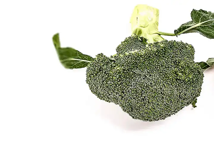 Fragen und Antworten zu Brigadier Broccoli