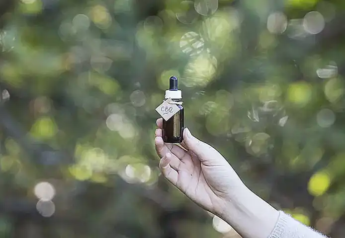 Fragen und Antworten zu CBD Wirkung Rausch