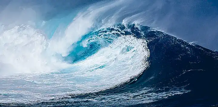 Fragen und Antworten zum Fall Tsunami Democràtic