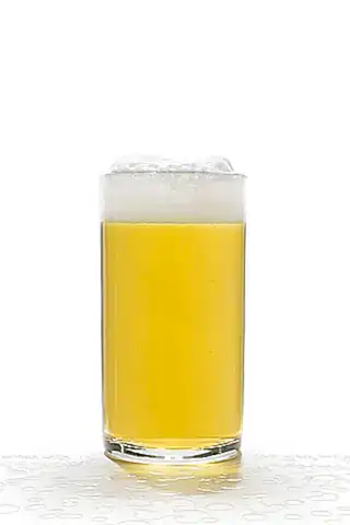 Fragen und Antworten zum Thema Prix Garantie Bier