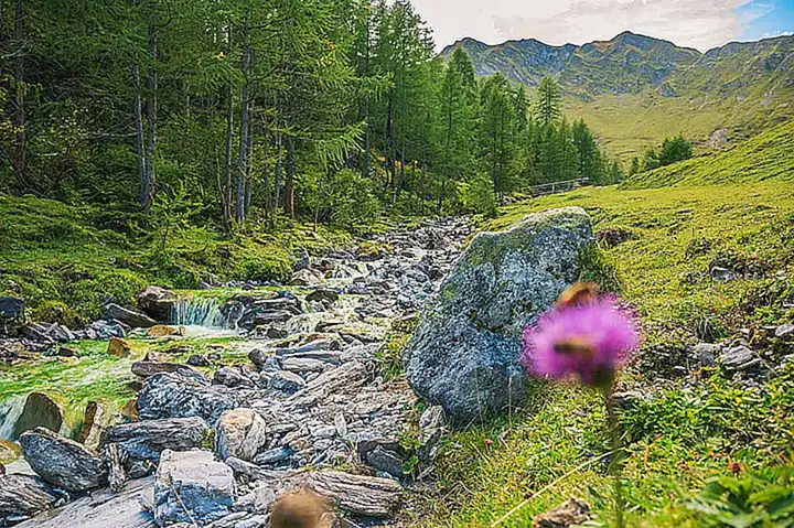 Fragen und Antworten zum Zillertal Sessellift Unfall