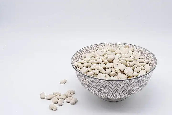 Fünf Fragen und Antworten zum Thema Protein und Muskelaufbau