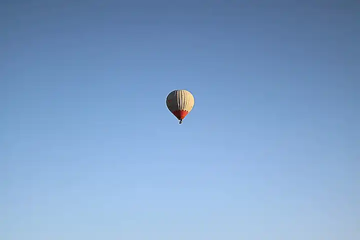 Gefahren im Dschungel