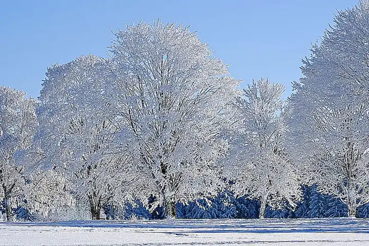 Giorgi Tevzadzes waghalsige Fahrkünste in Tiflis: Eine ausführliche Analyse seines YouTube-Videos und der damit verbundenen ethischen und rechtlichen Implikationen