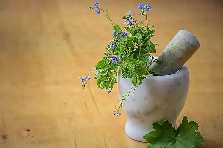 Hausmittel zur Nagelhautpflege