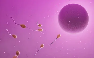 Ist Sperma gesund für die Zähne? Eine umfassende Untersuchung der Auswirkungen von Samenflüssigkeit auf die Mundgesundheit