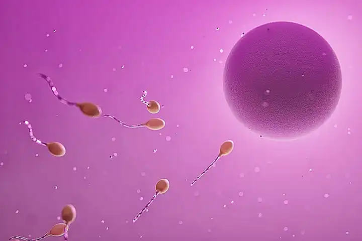 Ist Sperma gesund für die Zähne? Eine umfassende Untersuchung der Auswirkungen von Samenflüssigkeit auf die Mundgesundheit