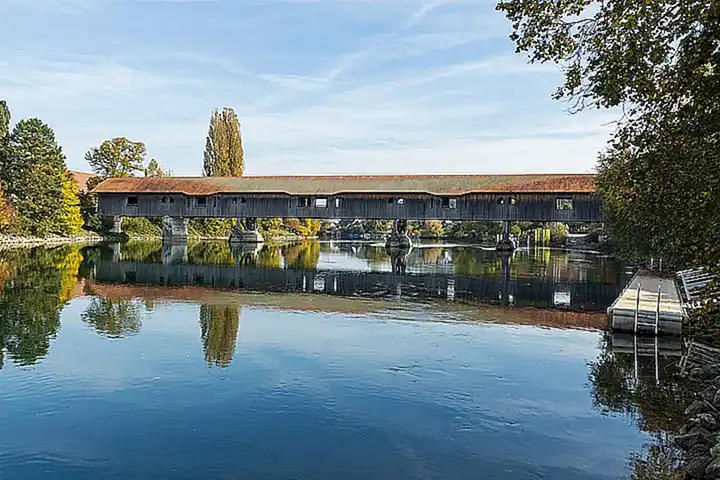Nachhaltiges Fischereimanagement für den Wels in der Aare