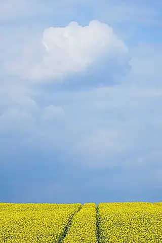 Präventionsstrategien und Ausblick