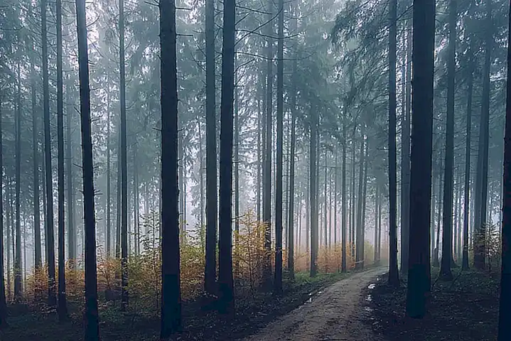 Rechtliche Aspekte des Falls Bonnie Blue
