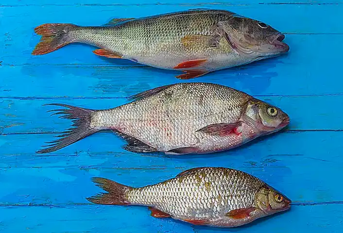 Rechtsfolgen und Versicherungsfragen nach einem Busunfall