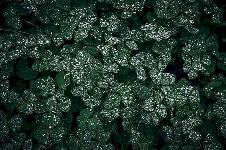 Rettungsmaßnahmen und Erstversorgung nach dem Busunfall