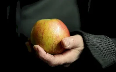 Sandra und ein fast perfektes Dinner: Eine tiefgründige Analyse des Wasser-Vorfalls und seiner Folgen