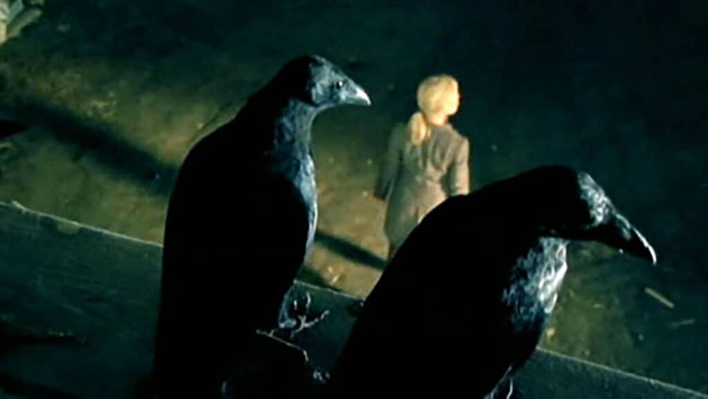 Die atemberaubende Welt vonThe Crows Barre Russe: Ein tiefer Einblick in Akrobatik, Mut und die Magie der Schweizer Dreiergruppe