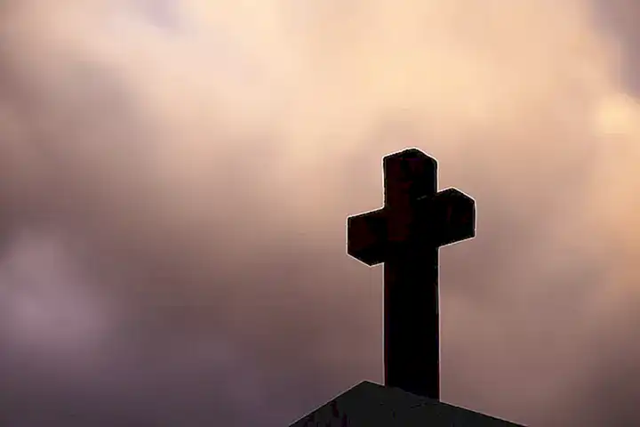 Vorbeugung gegen den Einzug von Skorpionen in Häuser