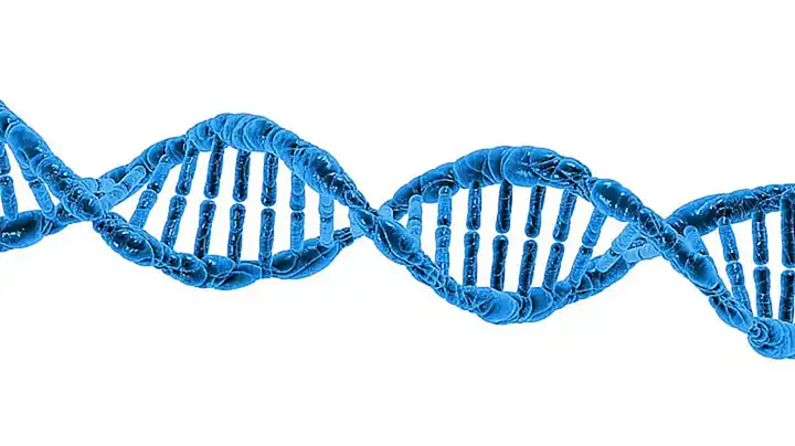 Zukünftige Herausforderungen und Schlussfolgerungen für den Umgang mit DNA-Datenbanken